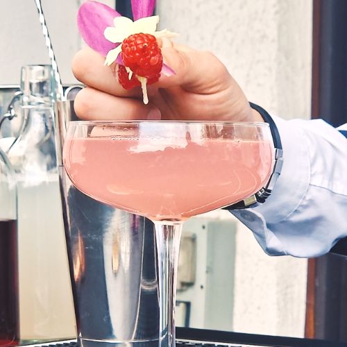 Professional Mixologist