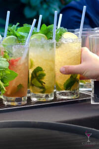 Professional Mixologist